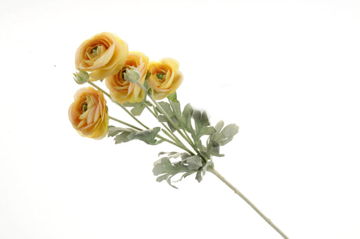 Mini Ranunculus Stem - Light Yellow (6 heads, 67cm long)