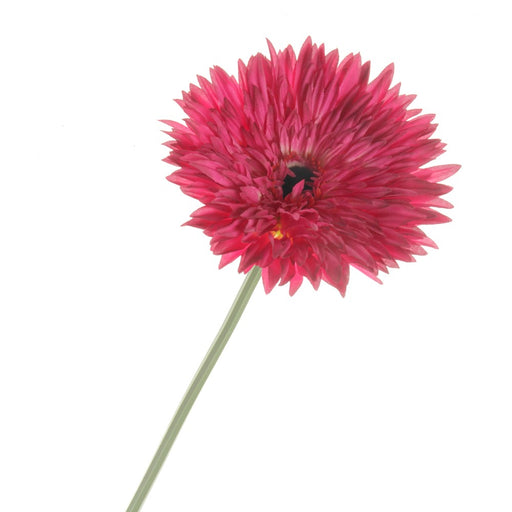 Double Gerbera - Cerise (76cm long)