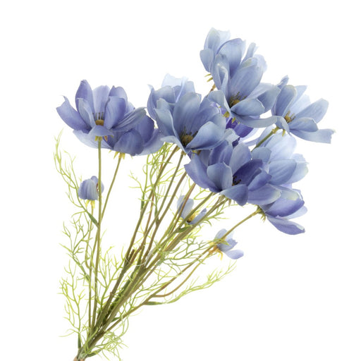 Coreopsis Bundle - Blue (3 stems, 62cm long)