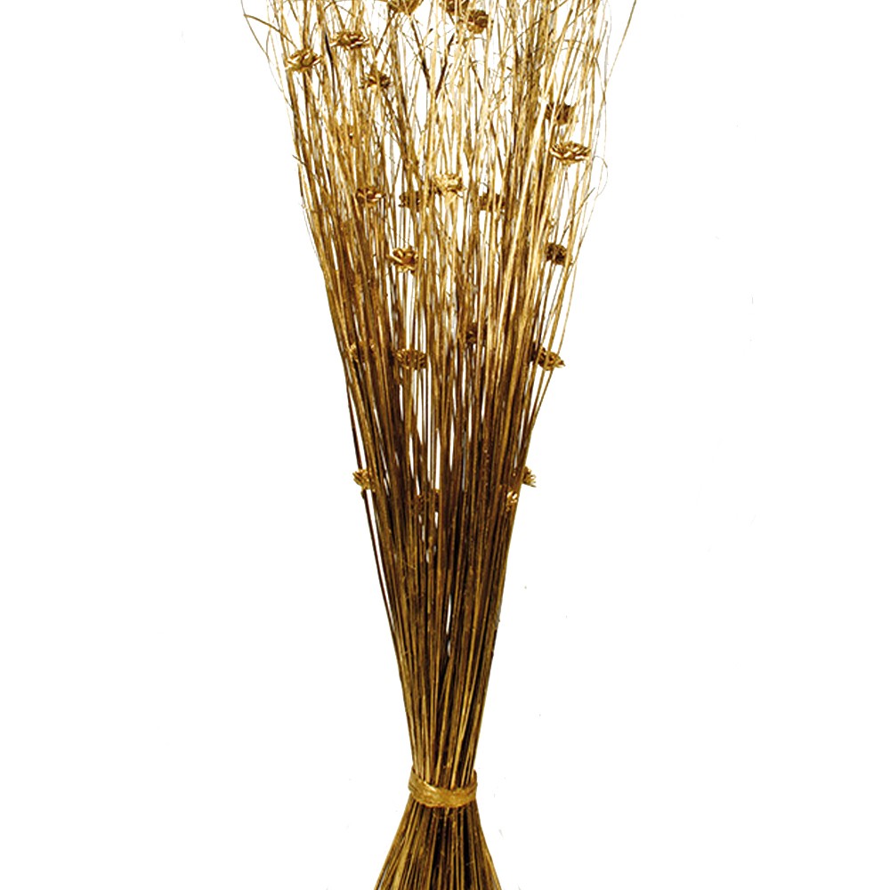 Discover Thick Reed Bush - Gold (100cm) | Corsage Creations