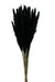 Pluma Decorativa - Black (50/60cm long, approx. 20pcs per pk)