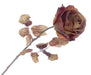 Single Autumn Rose - Brown (67cm long)