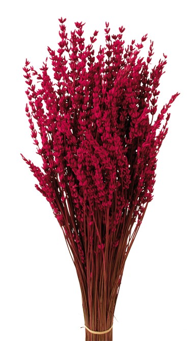 Preserved Lavender - Cerise (150g)