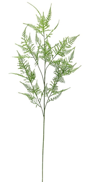 Single Asparagus Fern Spray - Green (107cm long)