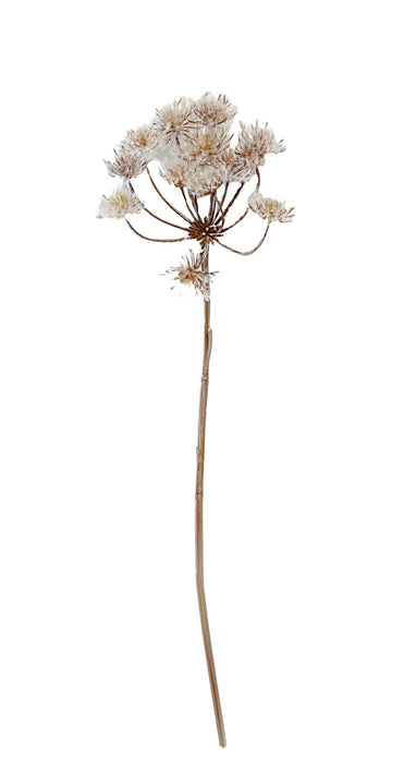 Frosty Cow Parsley - White/Brown (98cm long)