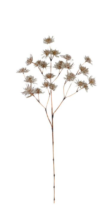 Frosted Withered Alliums - White/Brown (96cm long)