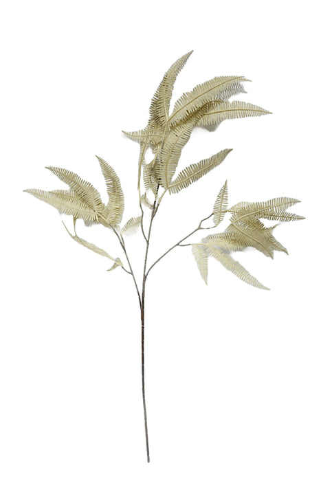 Single Fern Spray - Beige (102cm long)