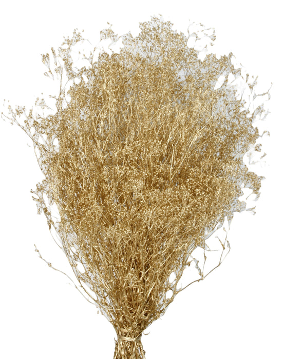 Preserved Gypsophila - Gold (100g per pack, 60cm long)