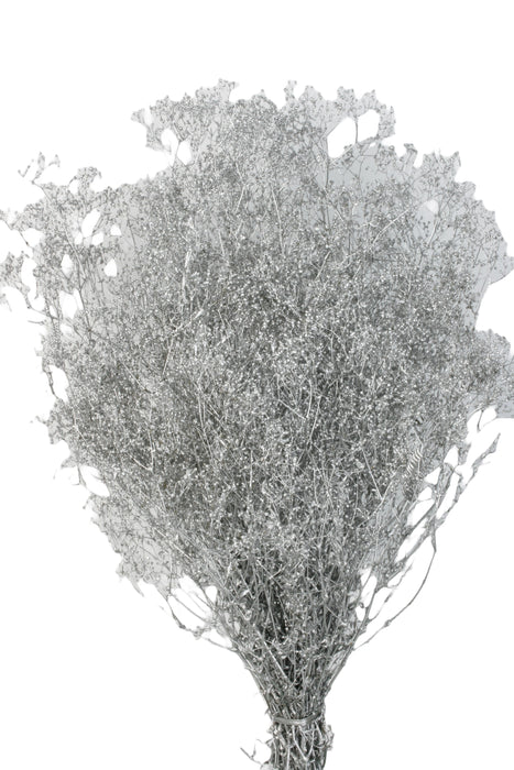 Preserved Gypsophila - Silver (100g per pack, 60cm long)