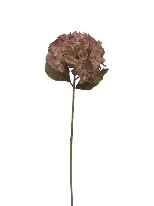 Dry Hydrangea - Pink (25cm diameter, 80cm long)