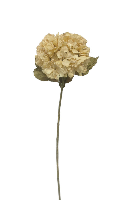 Dry Hydrangea - Cream/Beige (25cm diameter, 80cm long)