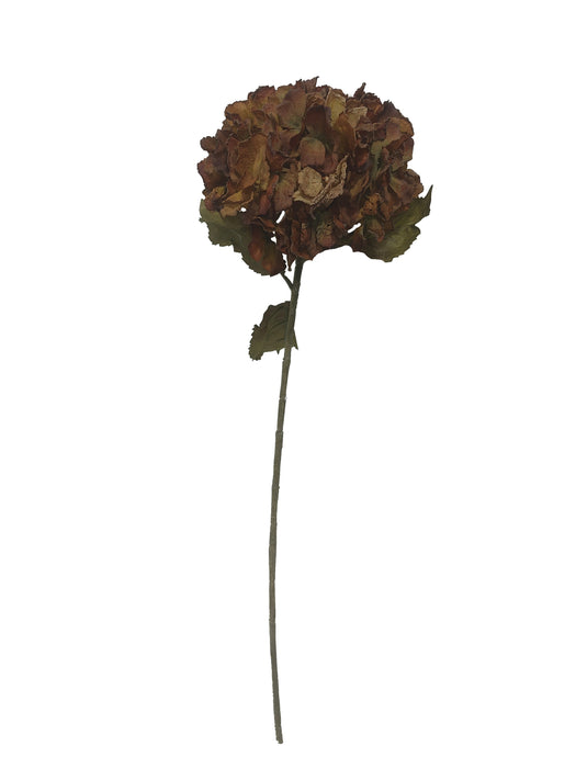 Dry Hydrangea - Burnt Orange (25cm diameter, 80cm long)