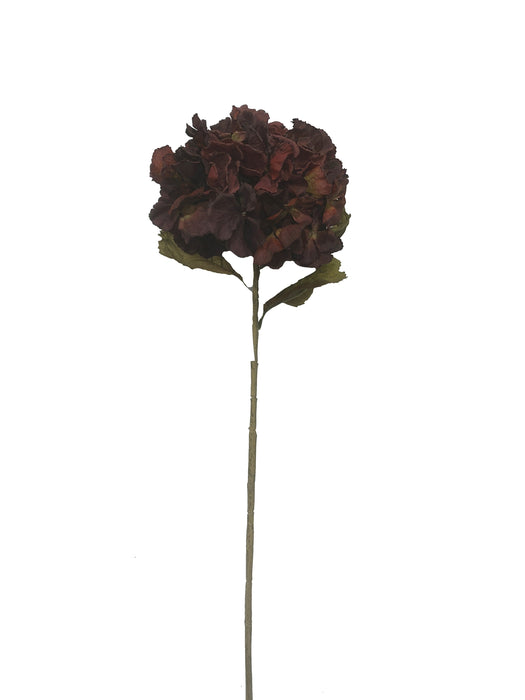 Dry Hydrangea - Burgundy (25cm diameter, 80cm long)