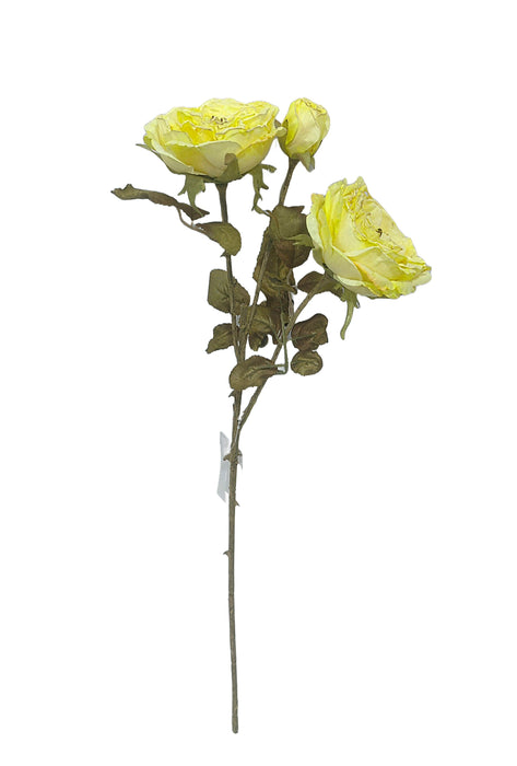 Dry Garden Rose Spray - Yellow (2 heads, 1 bud. 59cm long)