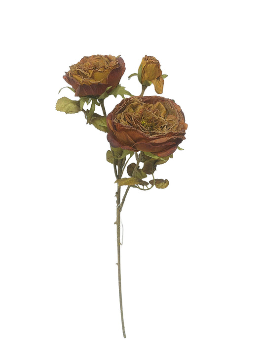 Dry Garden Rose Spray - Burnt Orange (2 heads, 1 bud. 59cm long)