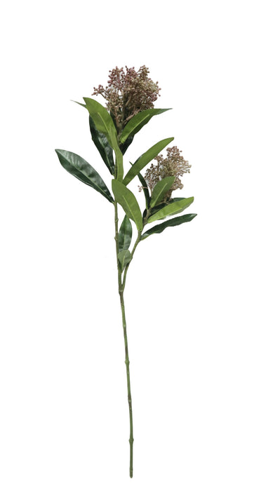 Skimmia Spray - Green/Brown (70cm long)