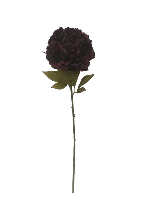 Single Peony - Deep Purple (16cm diameter, 78cm long)