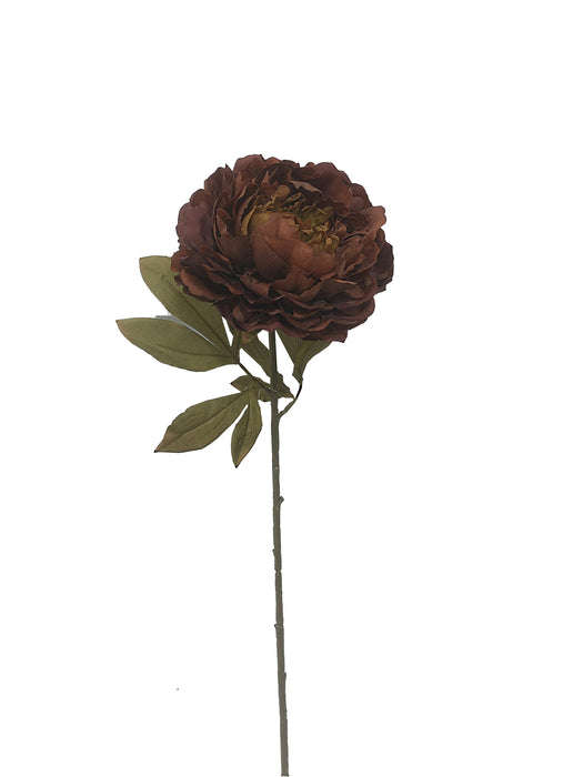 Single Peony - Deep Brown (16cm diameter, 78cm long)