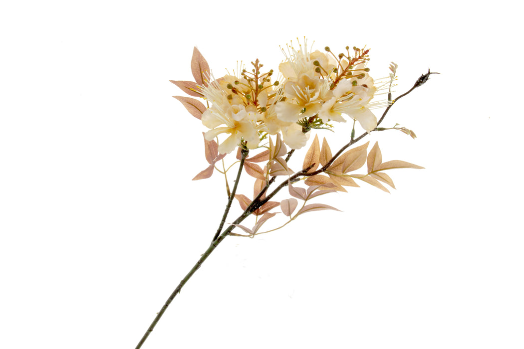 Surprise Lily Spray - Cream (66cm long)