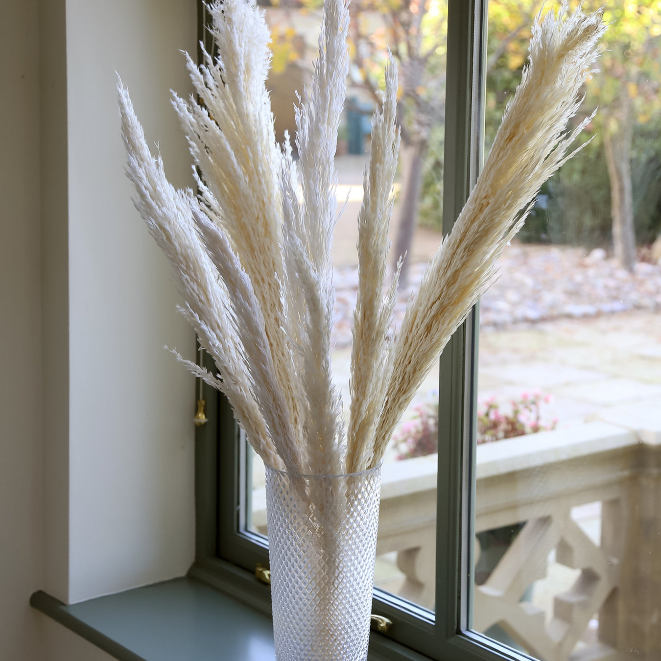 Dried & Preserved Grasses