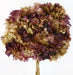 Preserved Hydrangeas - Natural/Burgundy (approx. 35cm long)