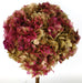 Preserved Hydrangeas - Natural/Cerise (approx. 35cm long)