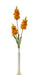 Artificial Blossom Spike - Orange (65cm long)