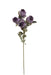 Artificial Dry Rose Bush - Purple (43cm long with 5 heads)