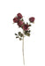 Artificial Dry Rose Bush - Red (43cm long with 5 heads)
