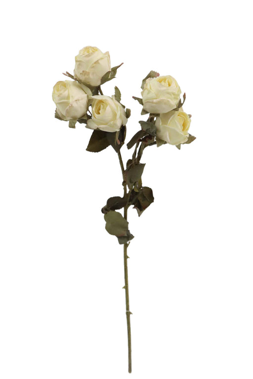 Artificial Dry Rose Bush - Ivory (43cm long with 5 heads)
