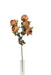 Artificial Dry Rose Bush - Orange (43cm long with 5 heads)