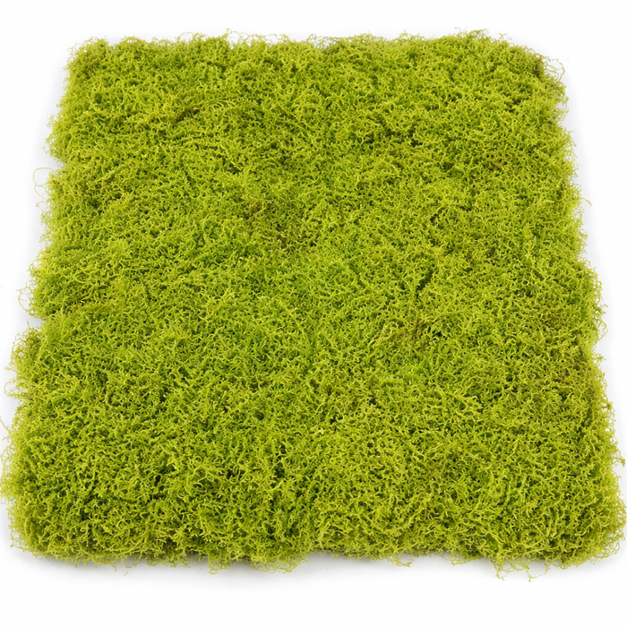 Artificial Moss Grass Tile - Green (100cm x 100cm)
