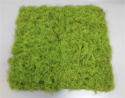 Artificial Moss Grass Tile - Green (100cm x 100cm)