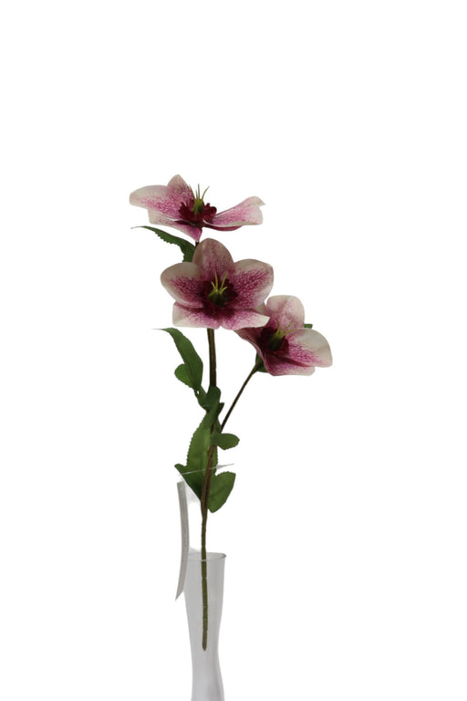 Artificial Helleborus Spray - Pink/White (38cm long with 3 heads)