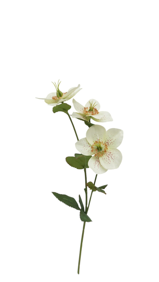 Artificial Helleborus Spray - Green/White (38cm long with 3 heads)