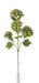 Artificial Hydrangea Spray - Green (88cm long with 4 heads)