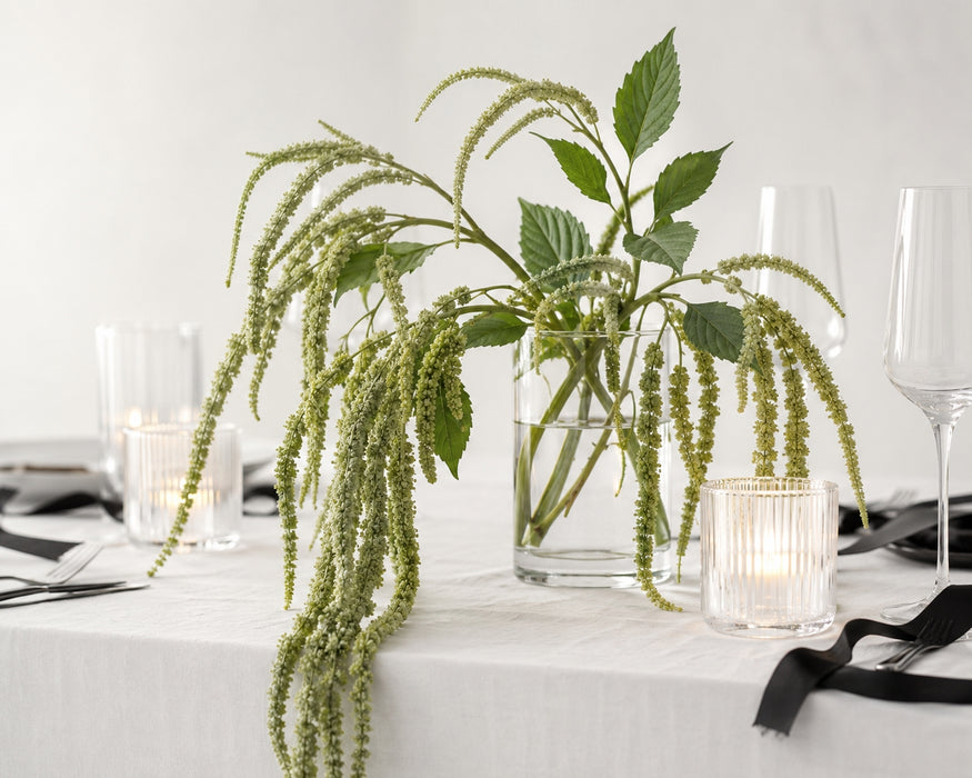 Amaranthus Spray - Green (95cm long, 14 heads)