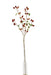91cm Artificial Raspberry Stem - Orange (91cm long)