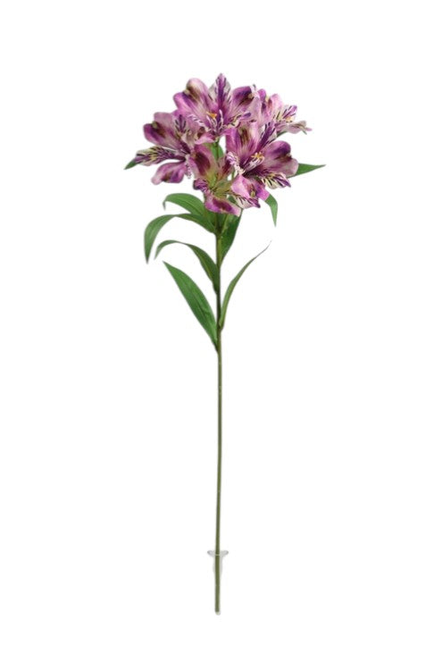 Alstromeria Spray - Purple (5 heads, 80cm long)