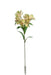 Alstromeria Spray - Cream/Green (5 heads, 80cm long)