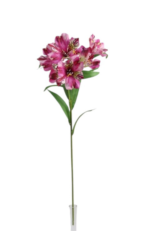 Alstromeria Spray - Cerise (5 heads, 80cm long)