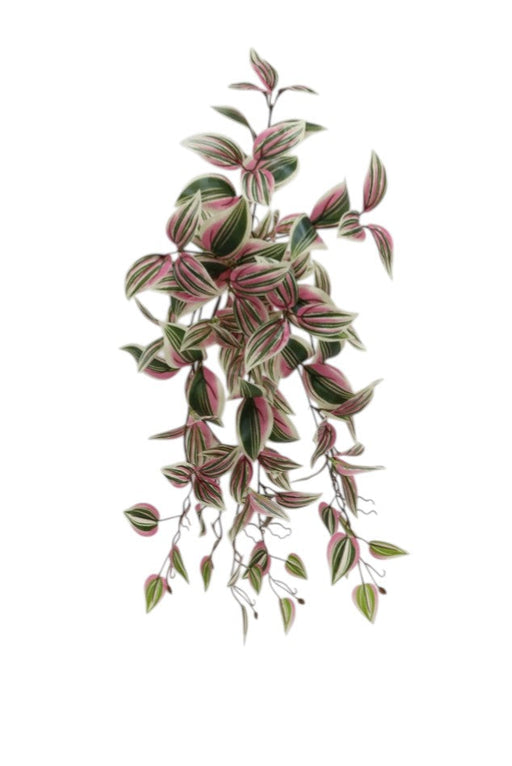 Artificial Tradescantia Hanging Bush - Green/Pink (57cm long)