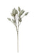 Artificial Tail Grass - White (70cm long, 15 heads)