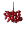 Berry Bunch - Red (20cm long)