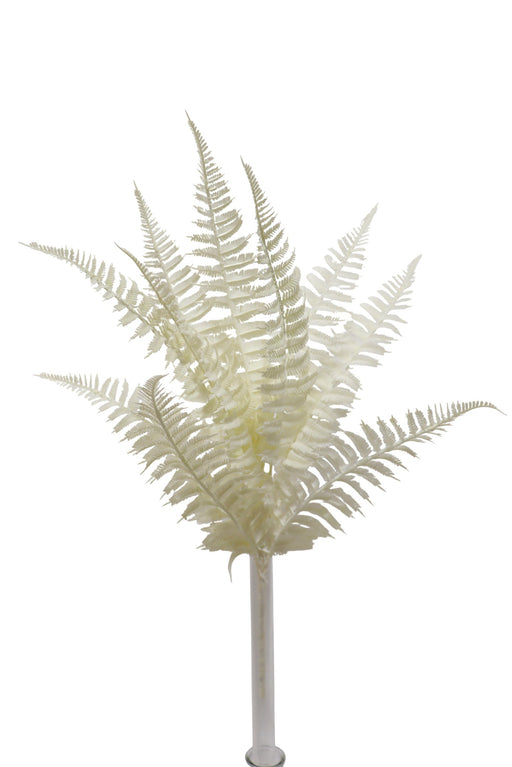 50cm Boston Fern Bundle - White (50cm long with 10 leaves)