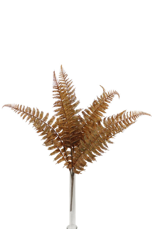 50cm Boston Fern Bundle - Brown(50cm long with 10 leaves)