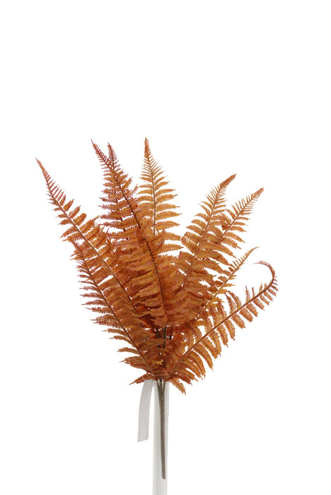 50cm Boston Fern Bundle - Orange (50cm long with 10 leaves)