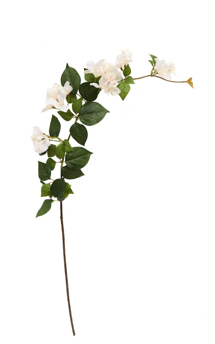 Bougainvillea spray - Green & White (120cm long)