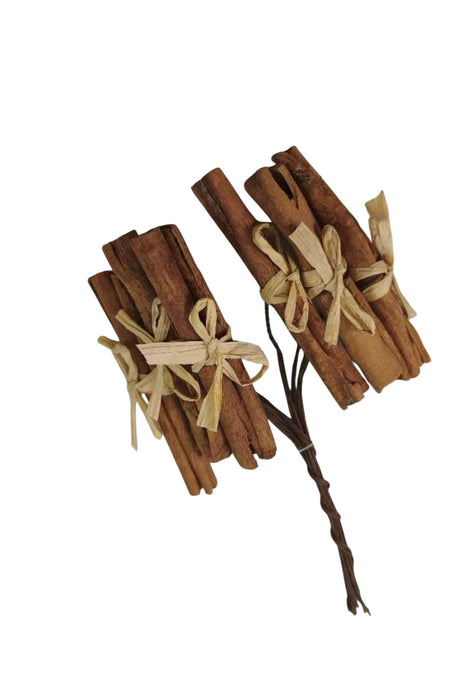Cinnamon on Wire - Natural (20cm long with 6 cinnamon)