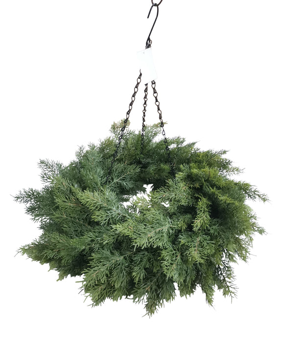 Cedar Hanging Wreath with Chain - Green (60cm diameter)